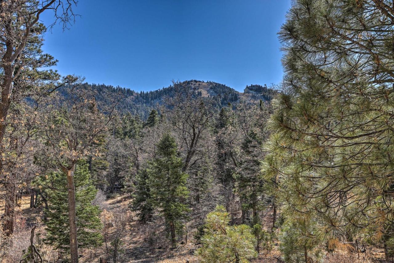 Chocolate Moose Cabin Short Walk To Slopes Villa Big Bear Lake Exterior photo