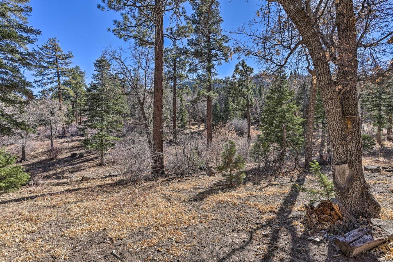 Chocolate Moose Cabin Short Walk To Slopes Villa Big Bear Lake Exterior photo